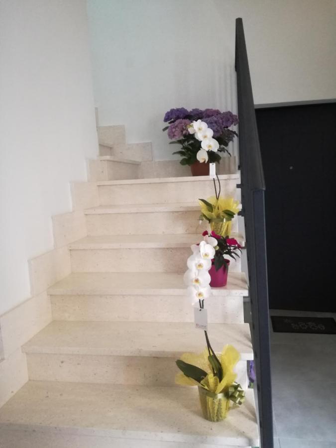 Adagiostay Elmas 外观 照片